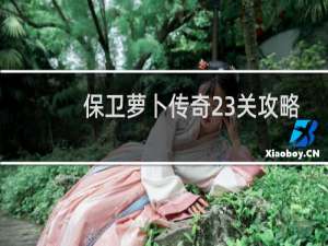 保卫萝卜传奇23关攻略
