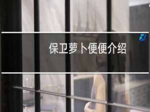 保卫萝卜便便介绍