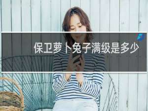 保卫萝卜兔子满级是多少