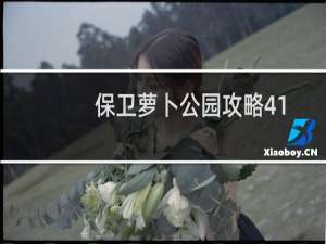保卫萝卜公园攻略41