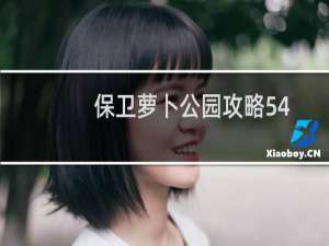 保卫萝卜公园攻略54