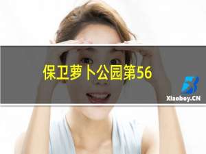 保卫萝卜公园第56