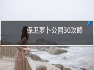 保卫萝卜公园30攻略