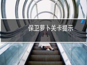 保卫萝卜关卡提示