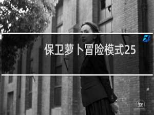 保卫萝卜冒险模式25