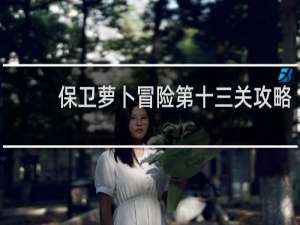 保卫萝卜冒险第十三关攻略