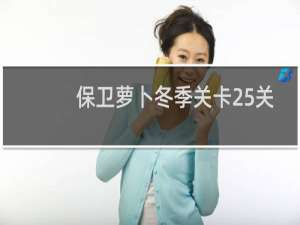 保卫萝卜冬季关卡25关