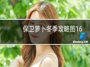 保卫萝卜冬季攻略图16