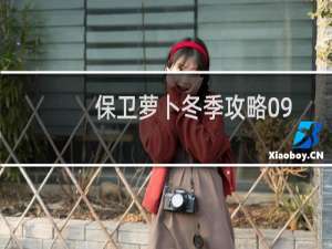 保卫萝卜冬季攻略09