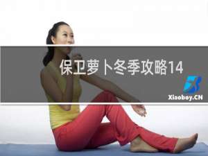 保卫萝卜冬季攻略14