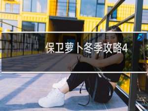 保卫萝卜冬季攻略4
