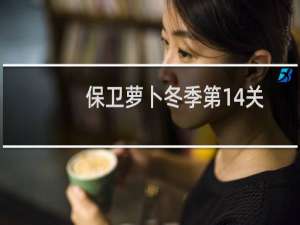 保卫萝卜冬季第14关