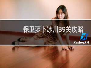 保卫萝卜冰川39关攻略