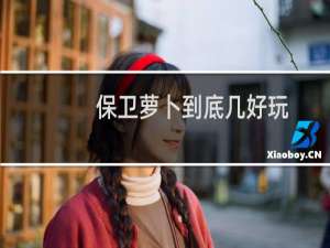 保卫萝卜到底几好玩