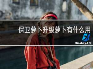 保卫萝卜升级萝卜有什么用