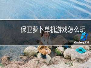 保卫萝卜单机游戏怎么玩