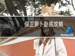 保卫萝卜卧底攻略