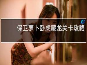 保卫萝卜卧虎藏龙关卡攻略