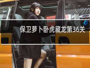 保卫萝卜卧虎藏龙第36关