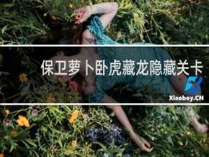 保卫萝卜卧虎藏龙隐藏关卡