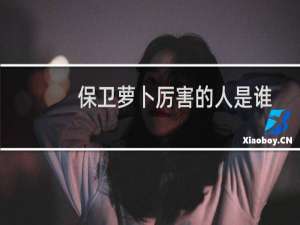 保卫萝卜厉害的人是谁