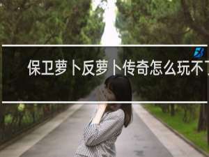 保卫萝卜反萝卜传奇怎么玩不了