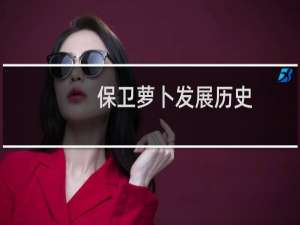 保卫萝卜发展历史