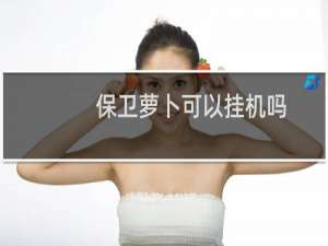 保卫萝卜可以挂机吗