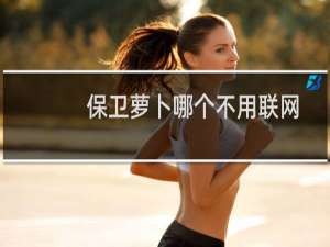 保卫萝卜哪个不用联网