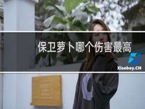 保卫萝卜哪个伤害最高