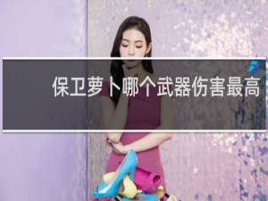 保卫萝卜哪个武器伤害最高