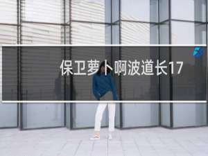 保卫萝卜啊波道长17