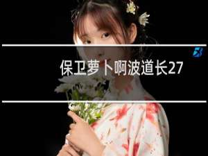 保卫萝卜啊波道长27