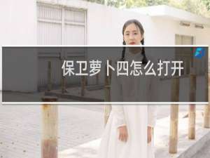 保卫萝卜四怎么打开