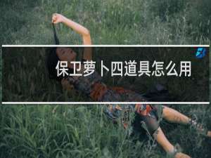 保卫萝卜四道具怎么用
