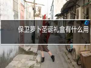 保卫萝卜圣诞礼盒有什么用