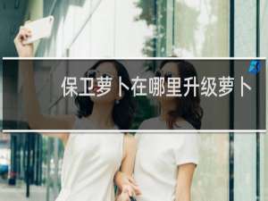 保卫萝卜在哪里升级萝卜