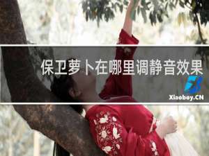 保卫萝卜在哪里调静音效果