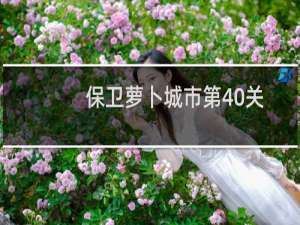 保卫萝卜城市第40关