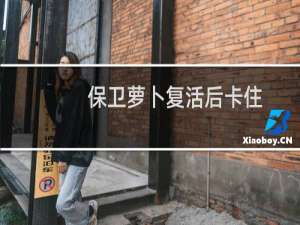 保卫萝卜复活后卡住