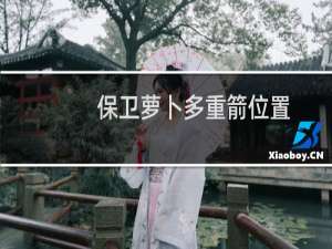 保卫萝卜多重箭位置