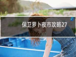 保卫萝卜夜市攻略27