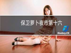 保卫萝卜夜市第十六