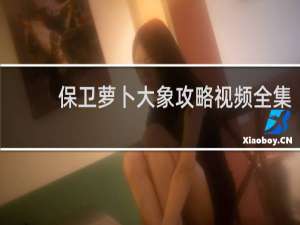 保卫萝卜大象攻略视频全集