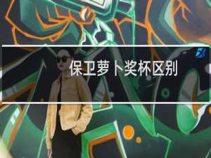 保卫萝卜奖杯区别