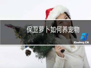 保卫萝卜如何养宠物