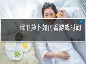保卫萝卜如何看游戏时间