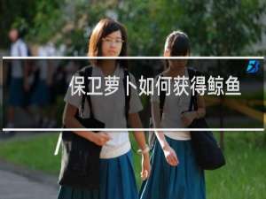 保卫萝卜如何获得鲸鱼