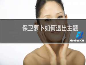 保卫萝卜如何退出主题