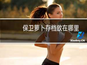 保卫萝卜存档放在哪里